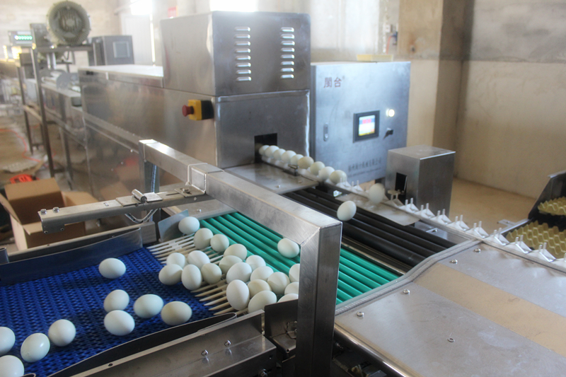我公司新引进的大型设备鸡蛋清洗机